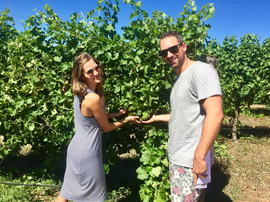 From Dunsborough/Busselton: Margaret River Wine Adventure - Finishing with a local microbrewery