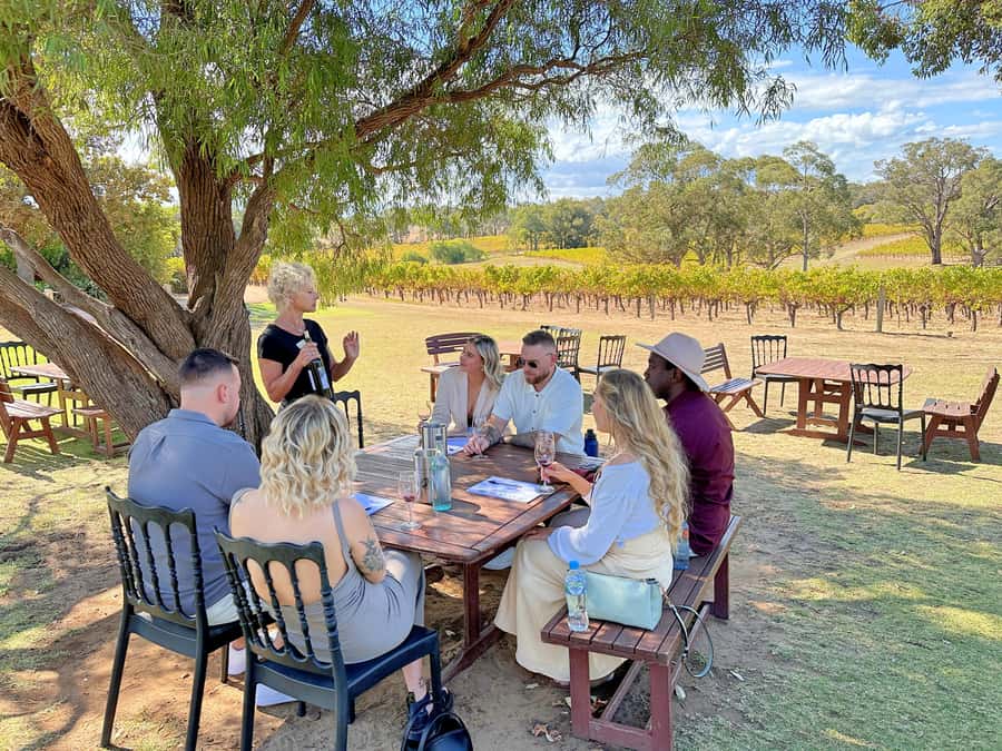 From Dunsborough/Busselton: Margaret River Wine Adventure - Who will get the most from this tour?