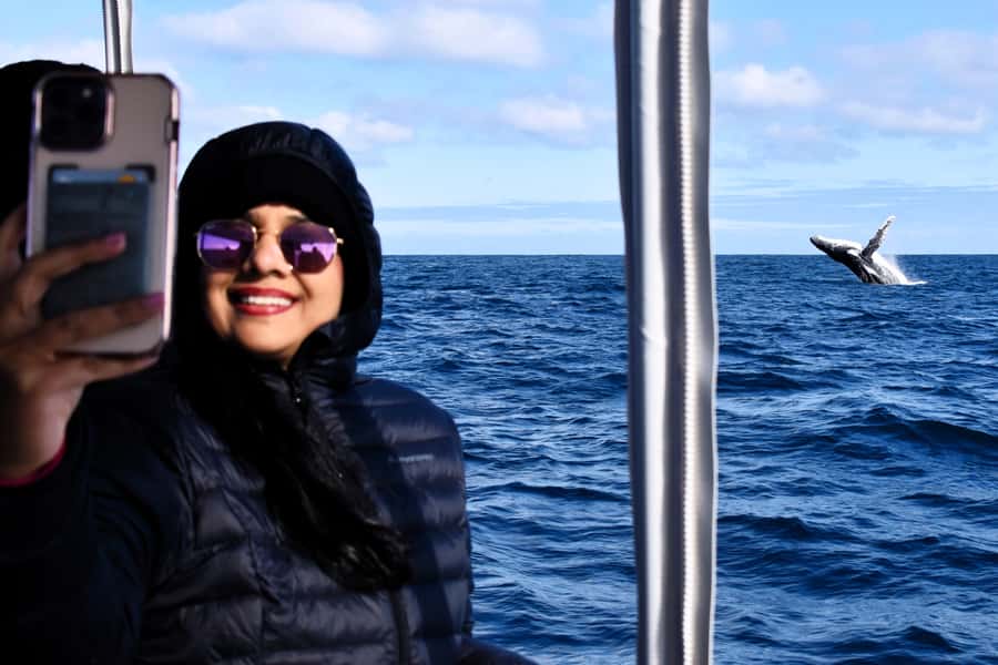 From Fremantle: 2-Hour Luxury Whale-Watching Cruise - Into the sheltered waters of Perth