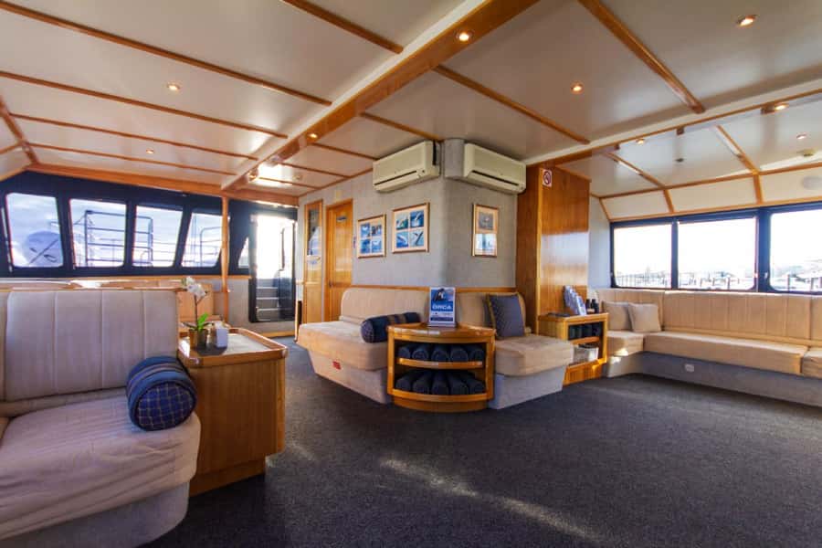 From Fremantle: 2-Hour Luxury Whale-Watching Cruise - What two hours feels like on the water