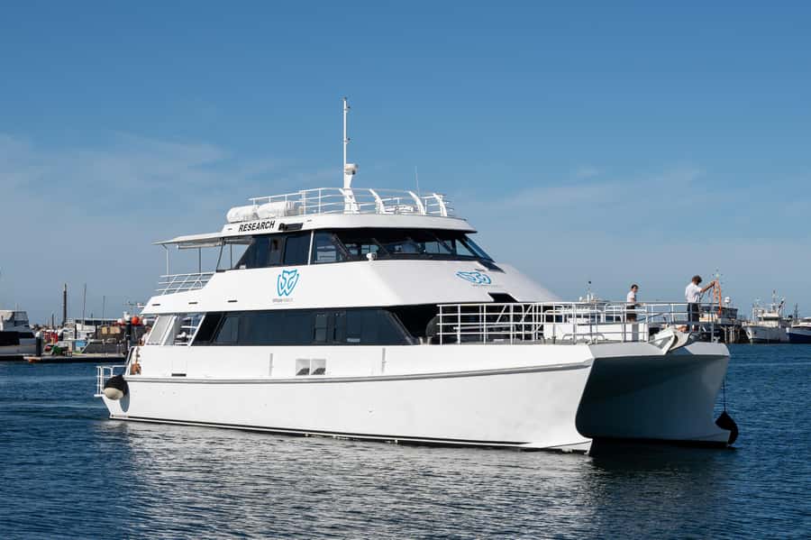 From Fremantle: 2-Hour Luxury Whale-Watching Cruise - Who should book this Fremantle cruise?