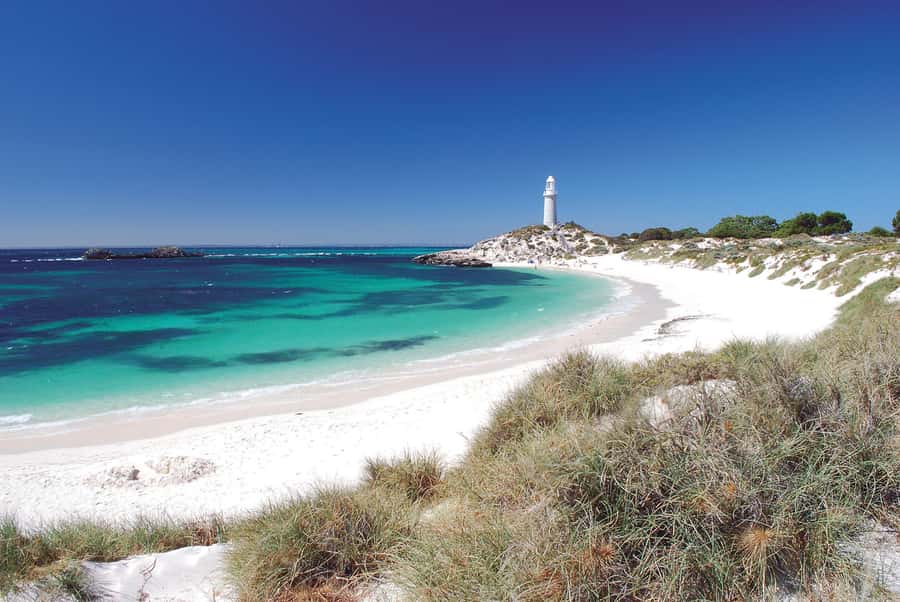 From Fremantle: Rottnest Island Ferry and Bike Day Tour - Simple Ways to Get More From the Day