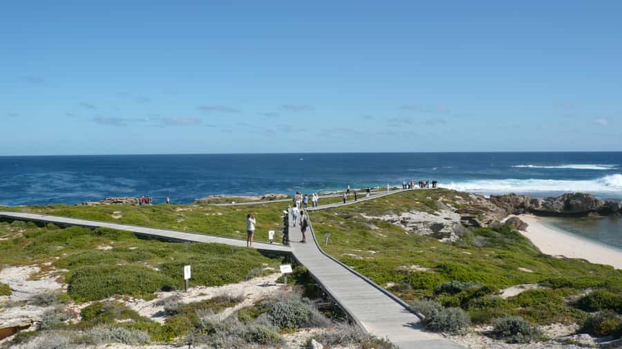 From Fremantle: Rottnest Island Ferry & Bus Day Tour - Key points at a glance
