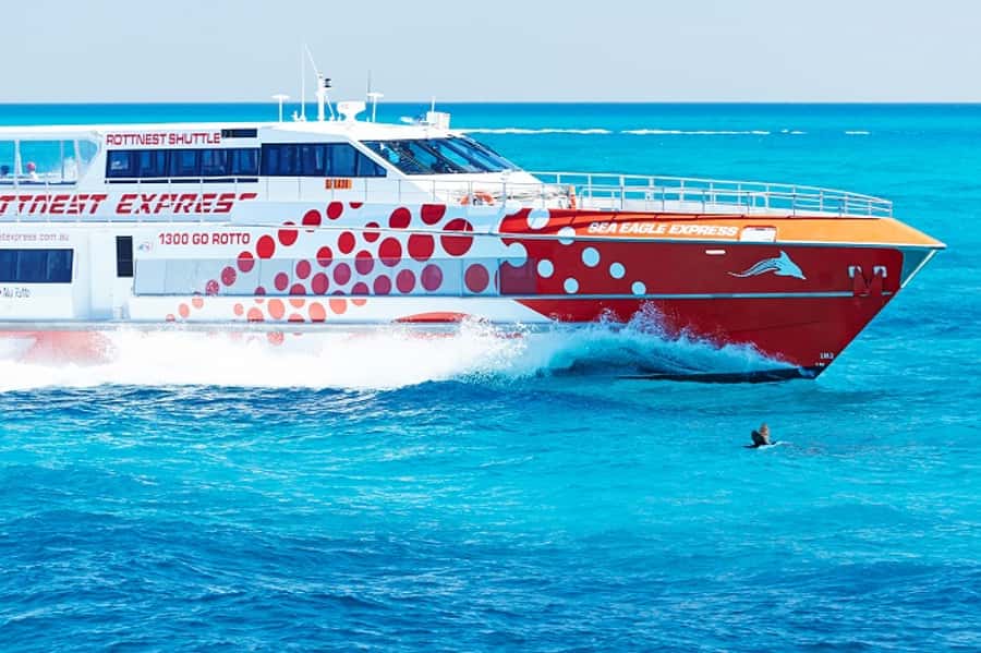 From Fremantle: Rottnest Island Ferry & Bus Day Tour - The 90-minute Discovery Coach Tour