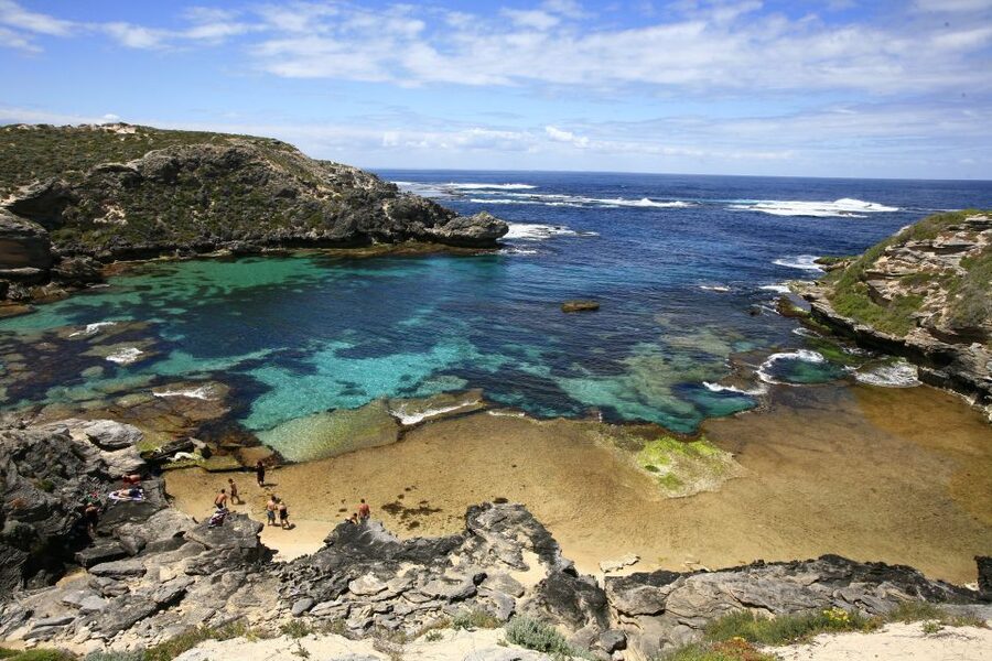 From Fremantle: Rottnest Island Ferry & Bus Day Tour - Beaches, bays, and Wadjemup Lighthouse