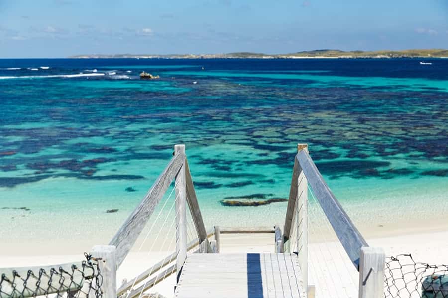 From Fremantle: Rottnest Island Ferry & Bus Day Tour - Quokkas and wildlife: where to spend your free time