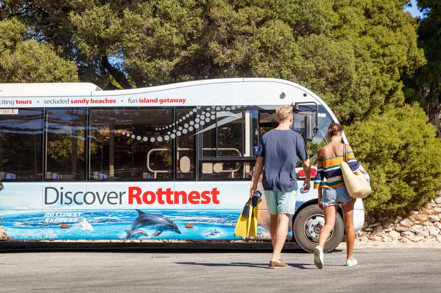 From Fremantle: Rottnest Island Ferry & Bus Day Tour - Who should choose this Rottnest day trip