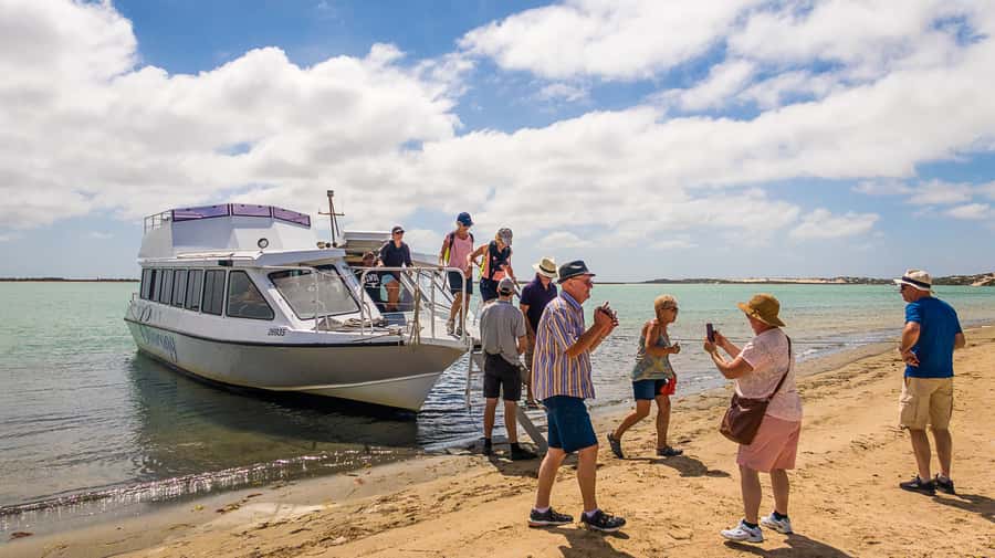 From Goolwa: Half-Day Coorong Experience - Why this half-day Coorong trip works so well