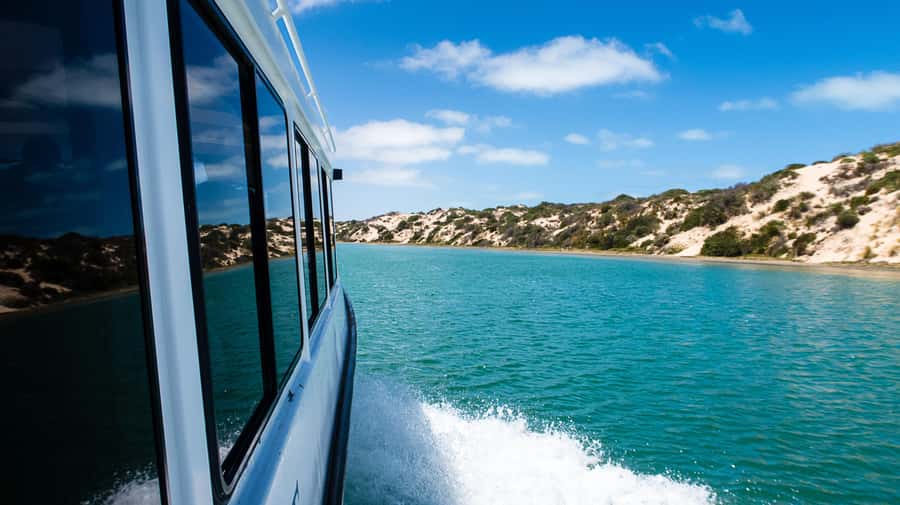 From Goolwa: Half-Day Coorong Experience - Following the Murray to its mouth