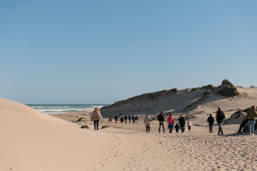From Goolwa: Half-Day Coorong Experience - The wildlife search is part of the fun