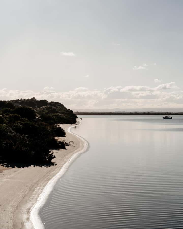 From Goolwa: Murray Mouth Cruise - Birdlife, seals, and the luck of the day