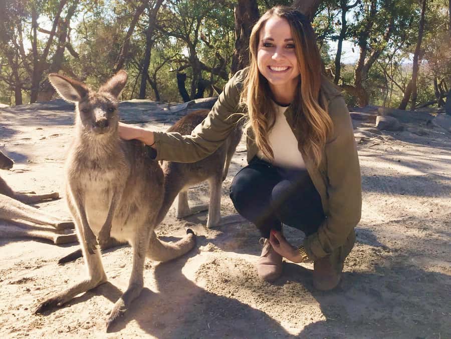 From Haymarket: Hunter Valley Wine and Wildlife Day Trip - Why this Hunter Valley day trip works so well