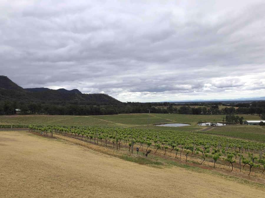 From Haymarket: Hunter Valley Wine and Wildlife Day Trip - Chocolate and cheese before the cellar doors