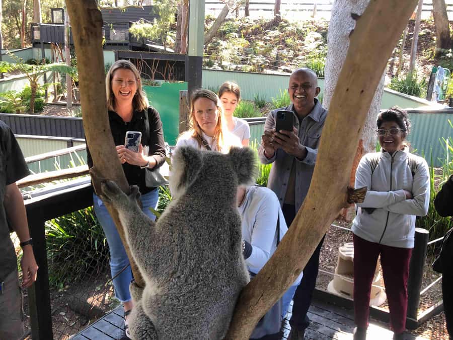 From Haymarket: Hunter Valley Wine and Wildlife Day Trip - Two boutique vineyards, chosen for your tastes