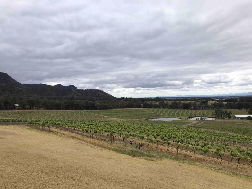 From Haymarket: Hunter Valley Wine and Wildlife Day Trip - Sam and the value of a small group