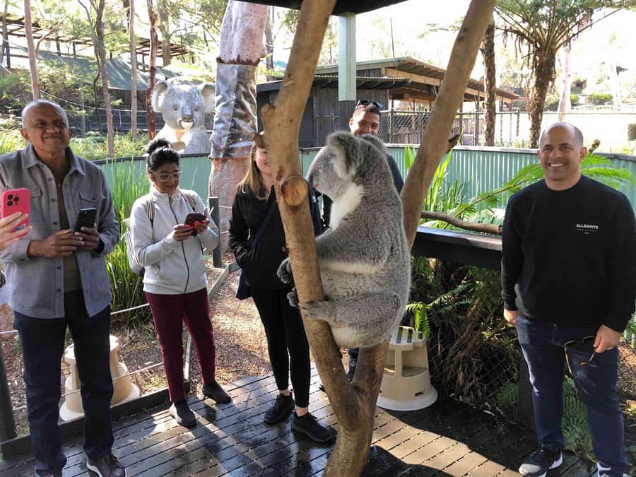 From Haymarket: Hunter Valley Wine and Wildlife Day Trip - Leaving Haymarket at 7:40 AM