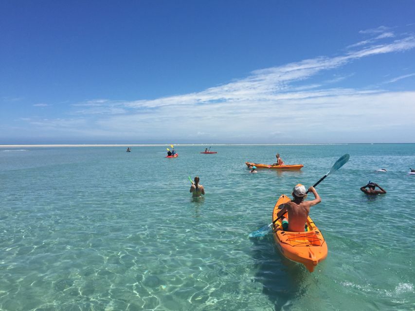 From Hervey Bay: Half-Day K'gari Fraser Island Beach Cruise - Practical tips for making the day better