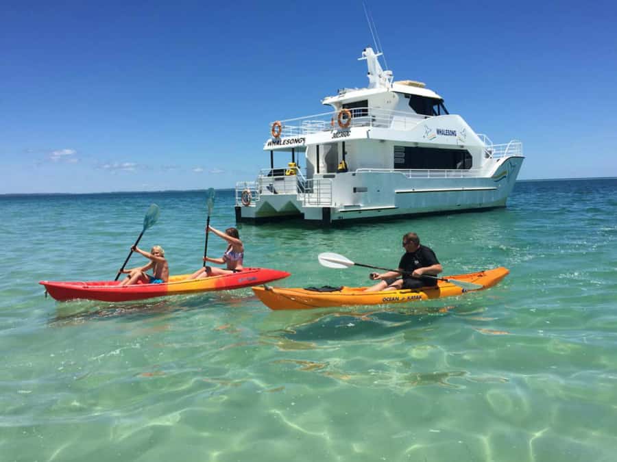 From Hervey Bay: Half-Day K'gari Fraser Island Beach Cruise - Should you book the Whalesong Kgari beach cruise?