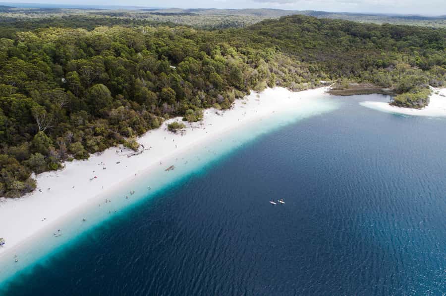 From Hervey Bay: K'gari, Fraser Island Full-Day Coach Tour - Key Points
