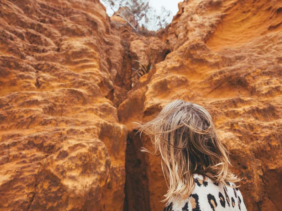 From Hervey Bay: K'gari, Fraser Island Full-Day Coach Tour - Lake McKenzie: The Main Reason to Book