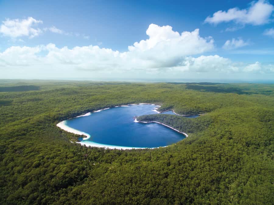 From Hervey Bay: K'gari, Fraser Island Full-Day Coach Tour - The Optional Scenic Flight