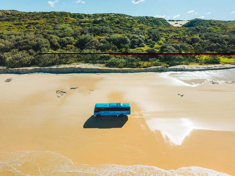 From Hervey Bay: K'gari, Fraser Island Full-Day Coach Tour - Lunch at Kgari Beach Resort