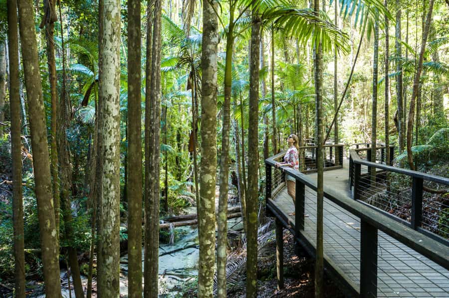 From Hervey Bay: K'gari, Fraser Island Two-Day Coach Tour - Why two days works better than a day trip