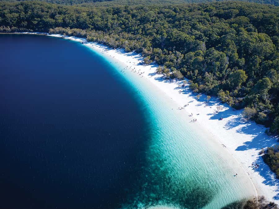 From Hervey Bay: K'gari, Fraser Island Two-Day Coach Tour - Central Station and Pile Valley: rainforest on sand