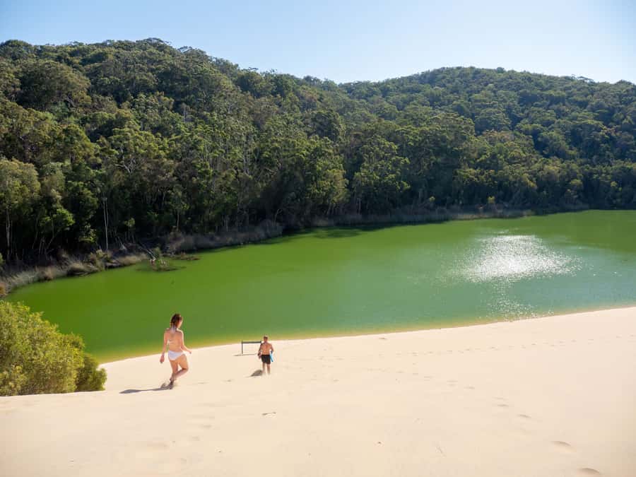 From Hervey Bay: K'gari Getaway Three-day 4WD Coach Tour - What the $569 price really covers