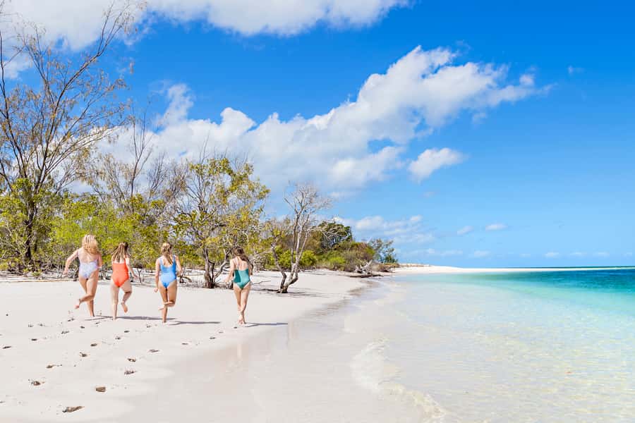 From Hervey Bay: Remote K'gari Tour by Boat with Lunch - Whale watching from July through October
