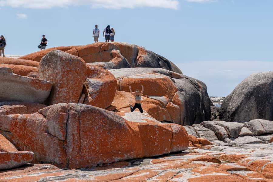 From Hobart: 5-Day Tasmania West & East Coast Tour - Day 2: Henty Dunes and the wild West Coast