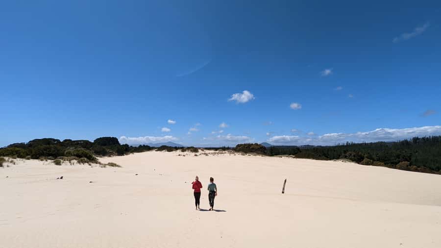 From Hobart: 5-Day Tasmania West & East Coast Tour - What the bus days are really like