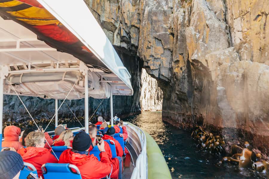 From Hobart/Adventure Bay: Bruny Island Wilderness Cruise - Key points at a glance