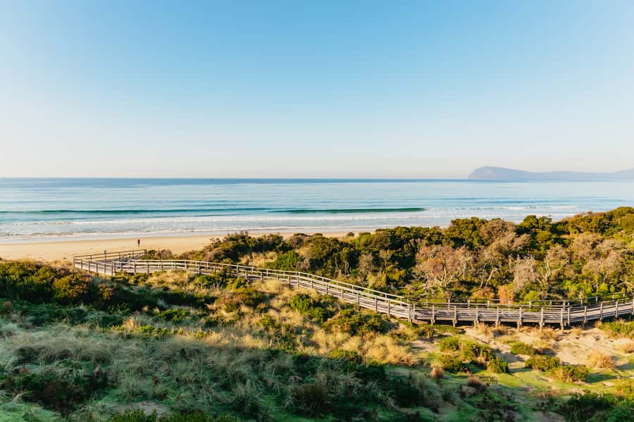 From Hobart/Adventure Bay: Bruny Island Wilderness Cruise - Who should book this cruise?
