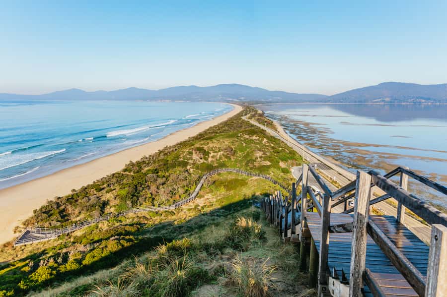 From Hobart/Adventure Bay: Bruny Island Wilderness Cruise - Why this Bruny Island cruise is worth your day