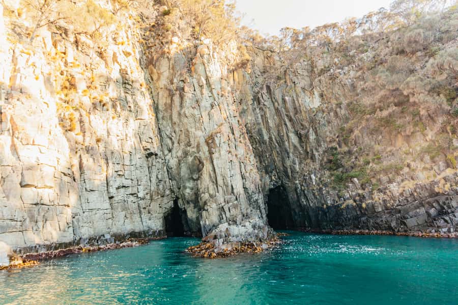 From Hobart/Adventure Bay: Bruny Island Wilderness Cruise - The yellow boat and what the ride feels like