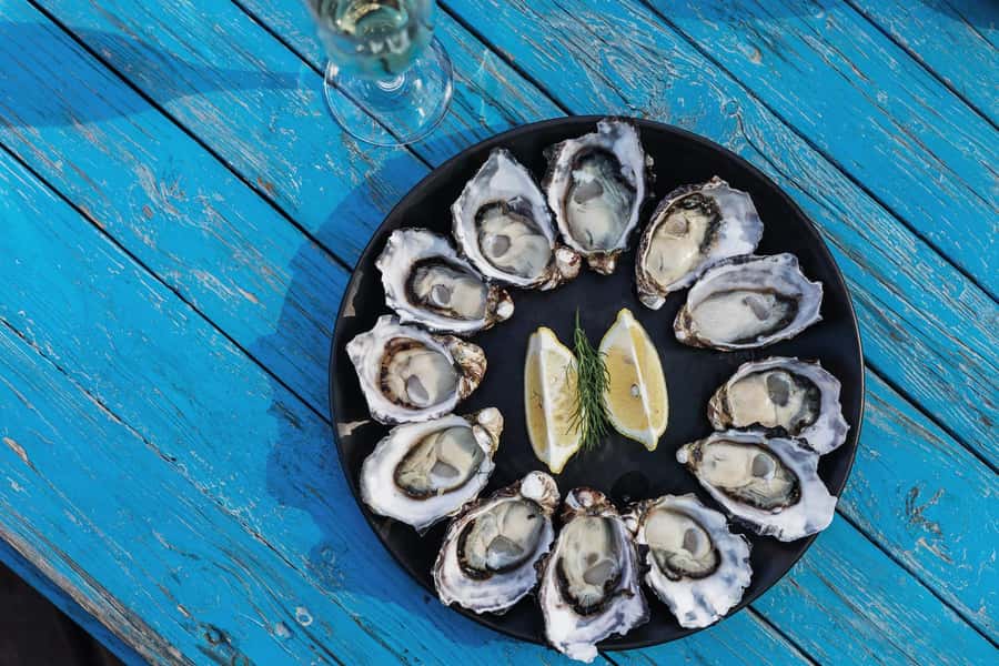 From Hobart: Bruny Island Nature & Produce Adventure Tour - Why this Bruny Island day works so well