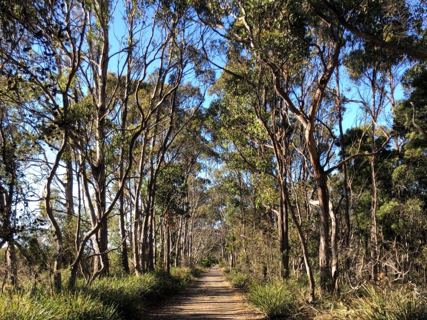 From Hobart: Bruny Island Nature & Produce Adventure Tour - Climbing 279 steps at Truganini Lookout