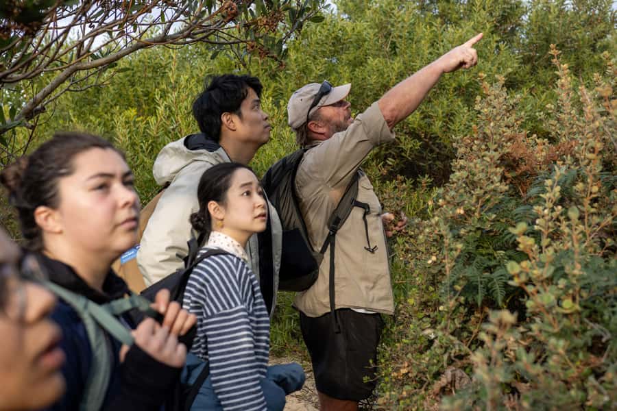 From Hobart: Bruny Island Nature & Produce Adventure Tour - Tasting Bruny’s local produce
