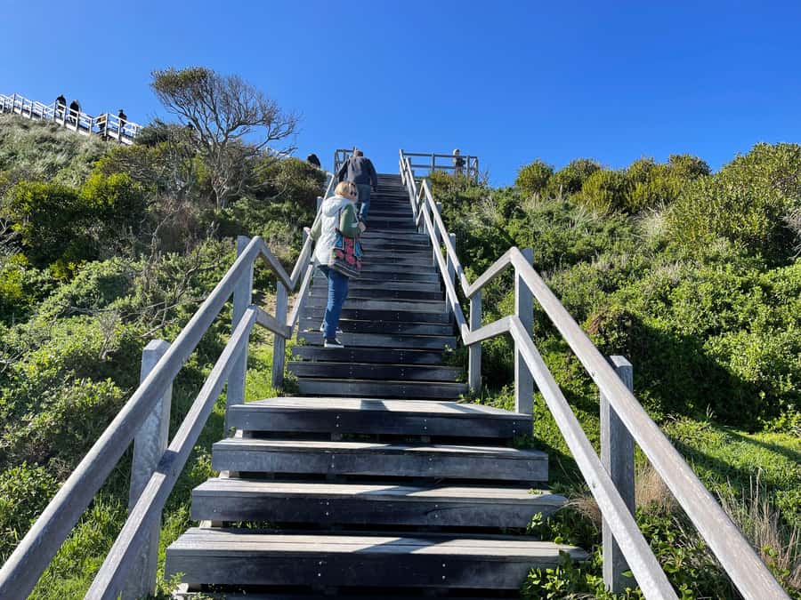 From Hobart: Bruny Island Nature & Produce Adventure Tour - Starting at 6:55am from Hobart