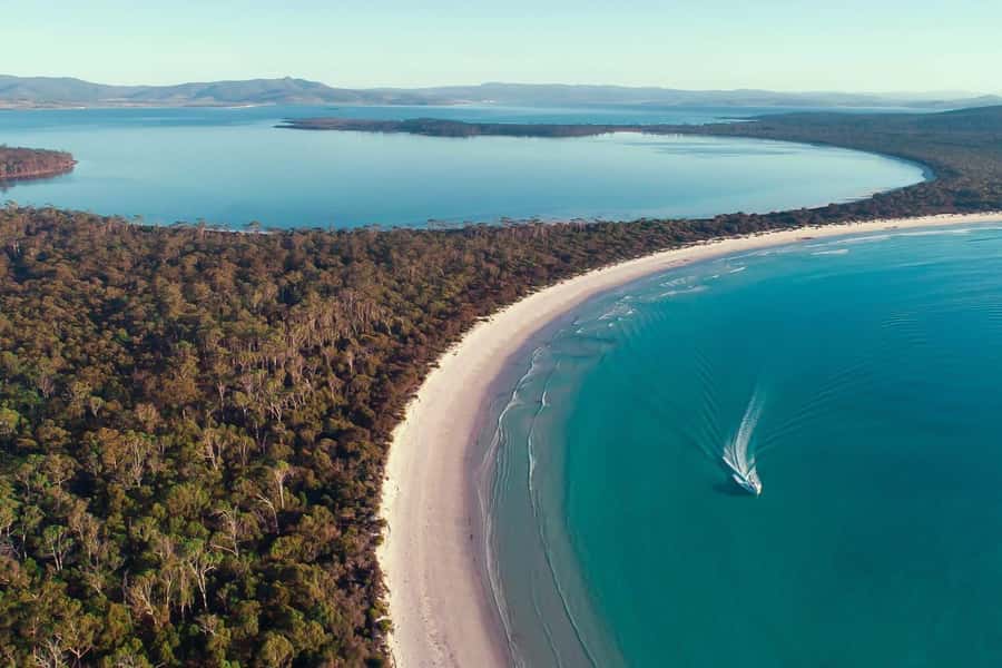 From Hobart: Day Tour to Maria Island with Bus Connection - Morning tea and the first stretch of coast