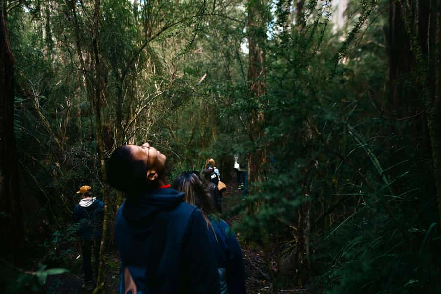 From Hobart: Full-Day Bruny Island Tour with Guide - Key points at a glance