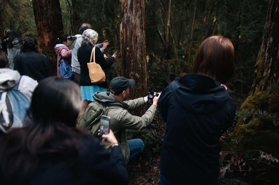 From Hobart: Full-Day Bruny Island Tour with Guide - Why Bruny Island works as a Hobart day trip