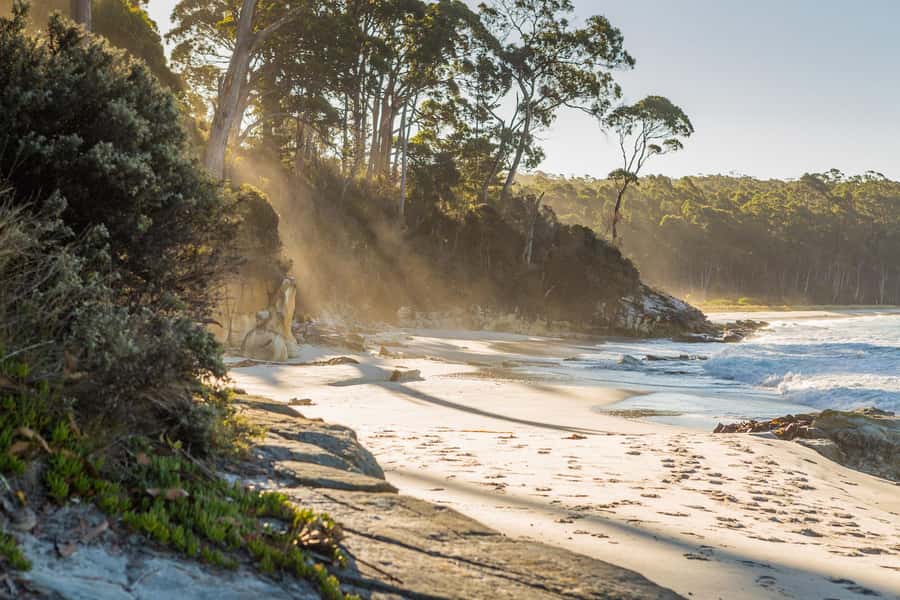 From Hobart: Full-Day Bruny Island Tour with Guide - Rainforest paths, beaches, and quiet corners
