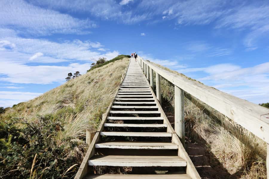 From Hobart: Full-Day Bruny Island Tour with Guide - Wildlife spotting and the elusive white wallaby