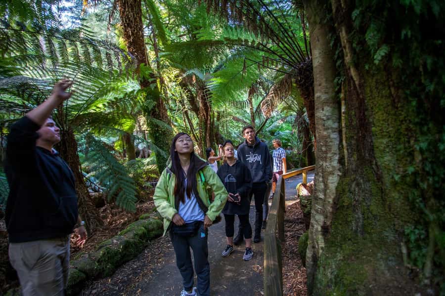 From Hobart: Mt. Field, Mt. Wellington and Wildlife Day Tour - Why this Hobart day tour works