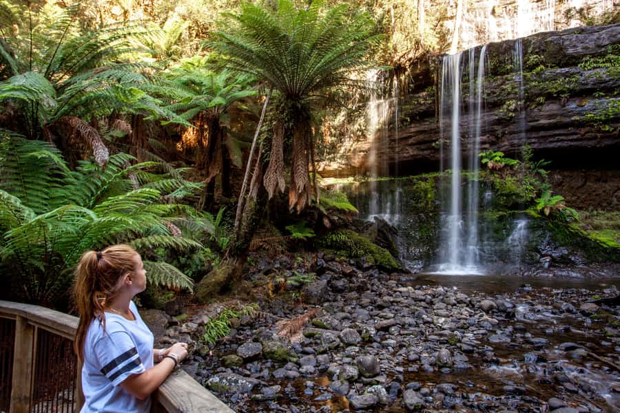 From Hobart: Mt. Field, Mt. Wellington and Wildlife Day Tour - FAQ