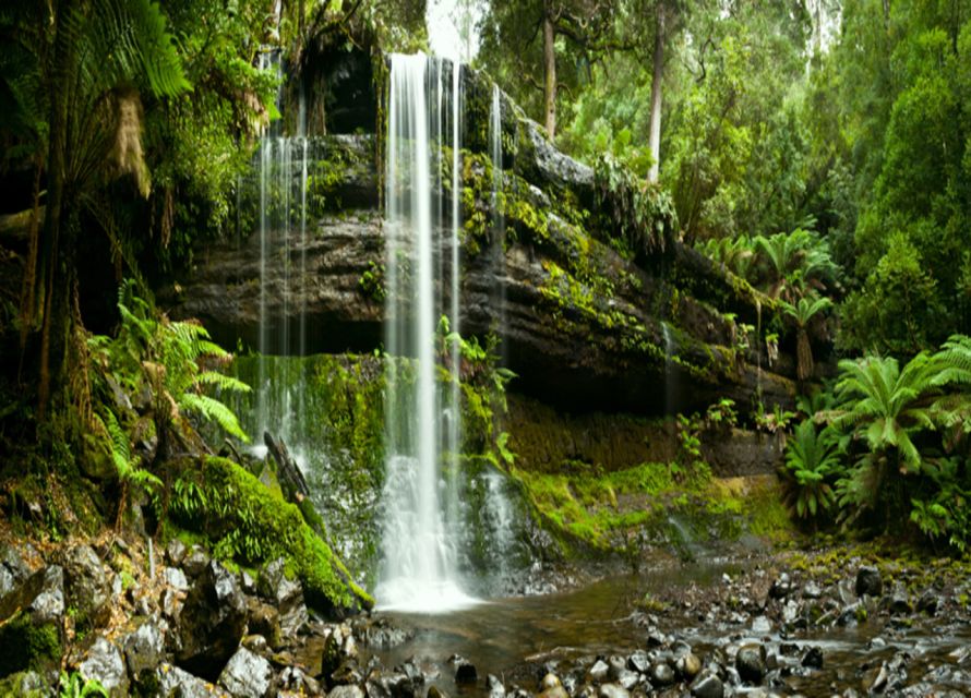 From Hobart: Mt. Field National Park and Russell Falls - What to pack for the forest