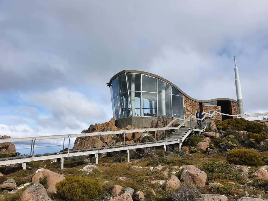 From Hobart: Mt Wellington Pinnacle 2 Hour Small Group Tour - Fern Tree brings a cooler change