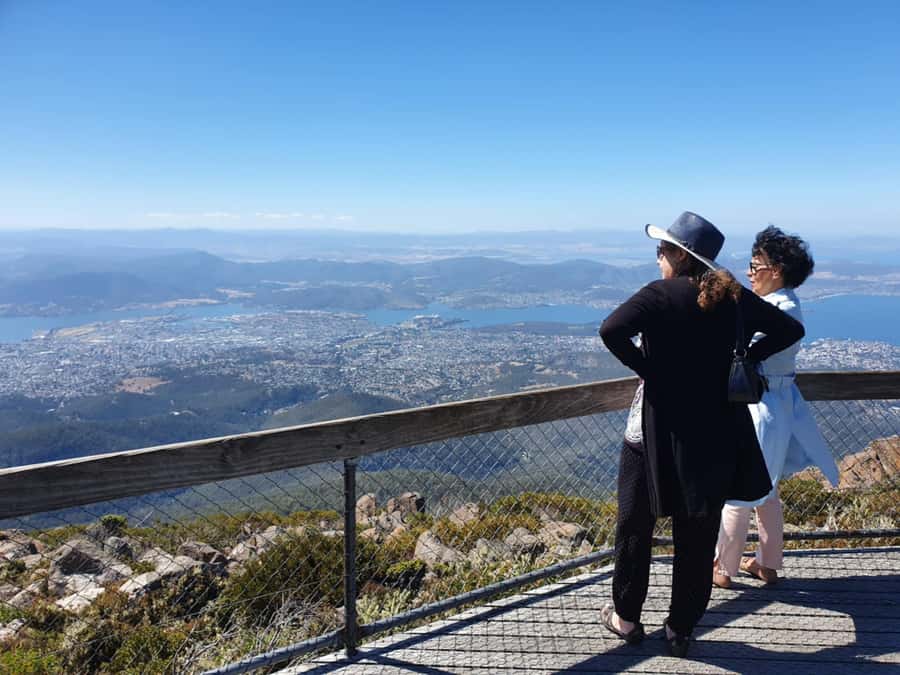 From Hobart: Mt Wellington Pinnacle 2 Hour Small Group Tour - Snow gums, banksias, and a rustic mountain shelter